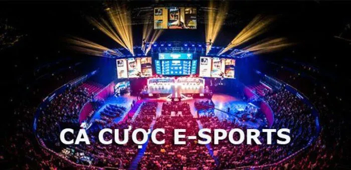 Cá Cược Esport Là Gì? Sức Hút Của Loại Hình Thể Thao Mới Mẻ